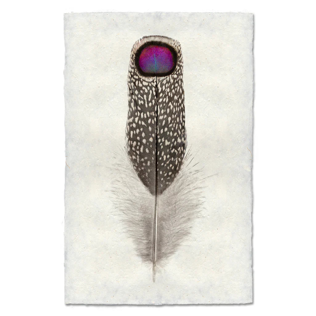 Peacock Print