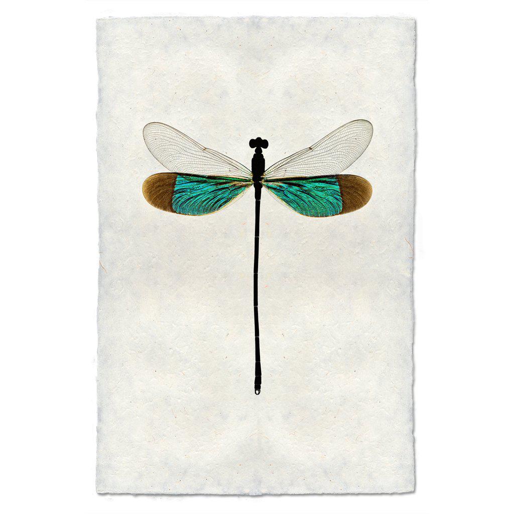 Turquoise Damsel Print