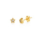 Shining Star Studs