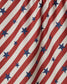 Patriotic Stripe Kitchen Towel