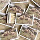 Vintage Landscape Match Set