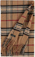 Plaid Cashmink Scarf