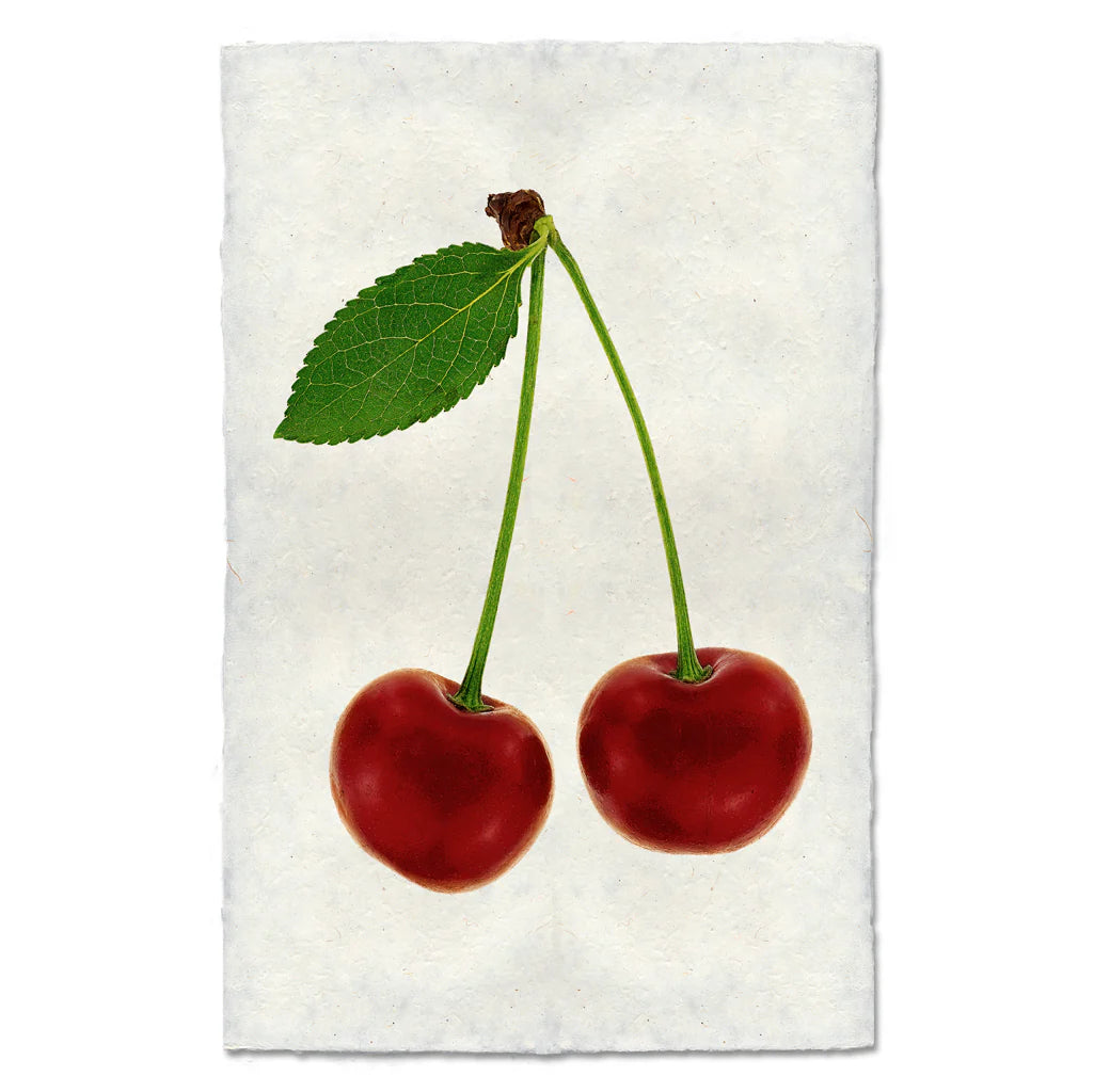 Double Cherry Print