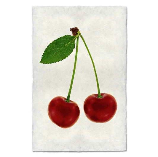 Double Cherry Print
