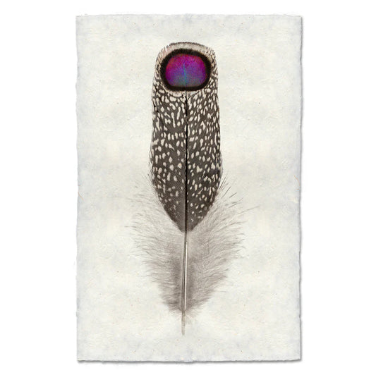 Peacock Print