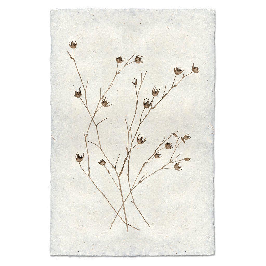 Petal Form Print
