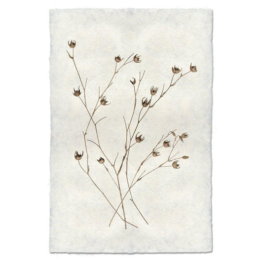 Petal Form Print