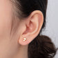 Micro Paved Mushroom Studs