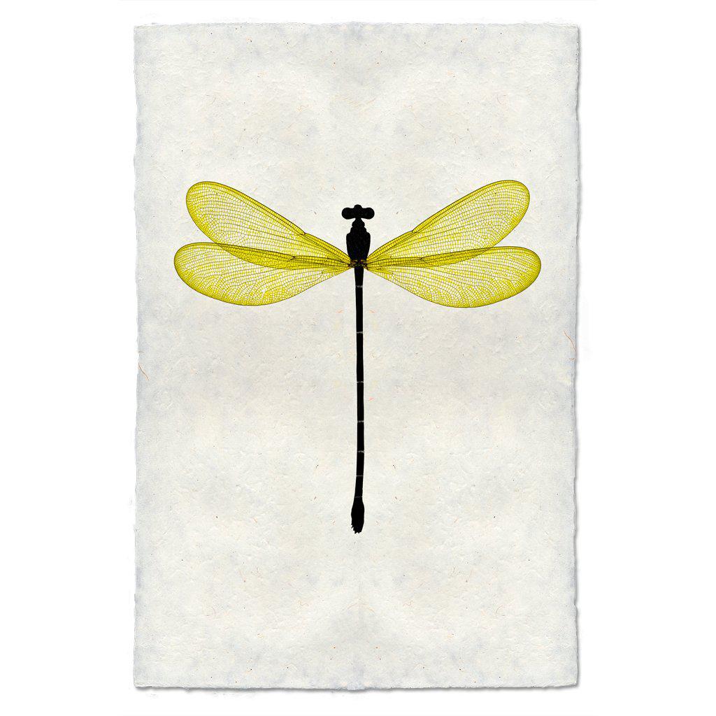 Yellow Damsel Print